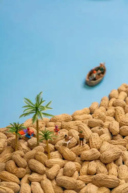 花生创意拍摄晋江衙口花生结合海边公路水煮日晒等特点