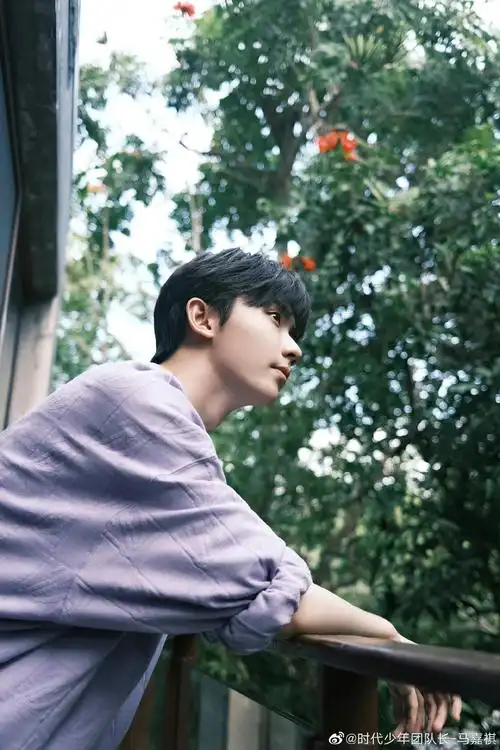 马嘉祺晒九宫格营业图 紫色毛衣出镜,森系氛围感拉满 侧颜好绝啊