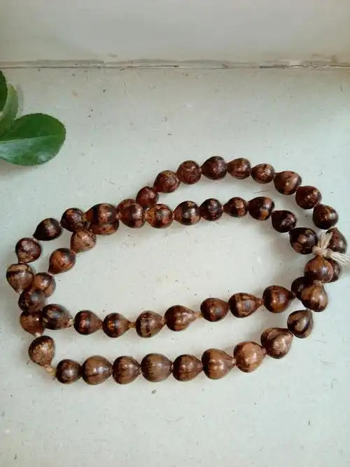 老珠串 老菩提 老草珠菩提