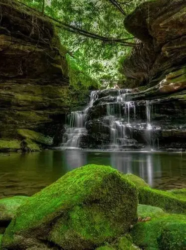 走进天然风景龙苍沟,森林公园,风景美,风景让人心胸开阔,心旷神怡,我
