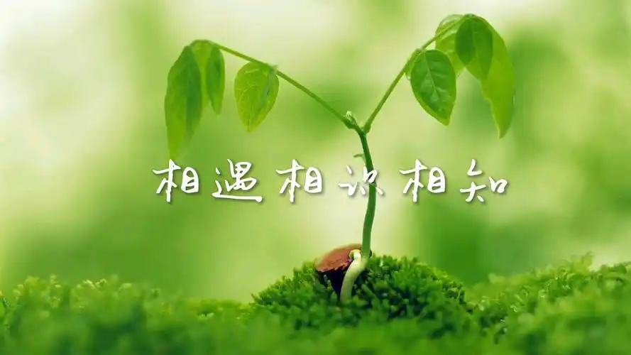 相遇就是缘分相处就是续缘相知就是惜缘惊鸿一瞥的回眸让心从此跟你走