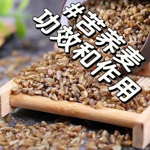 苦荞麦健脾利湿养胃生津排毒养颜