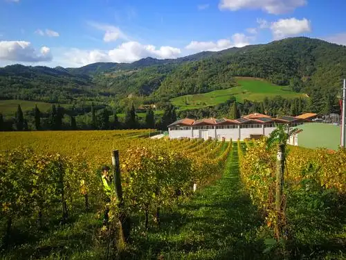 意大利酒庄,品鉴之旅