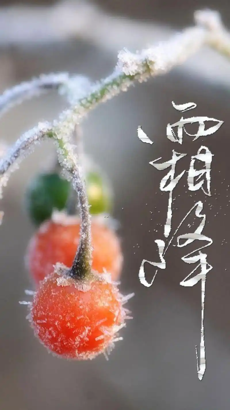 传统二十四节气霜降