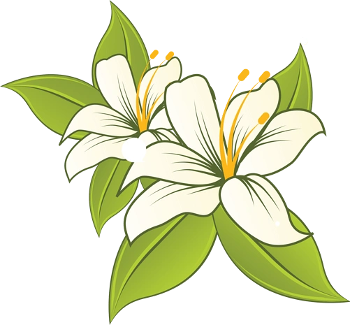 卡通插画装饰12款花朵pngpsd2000*2000卡通娇羞的百合花矢量素材白