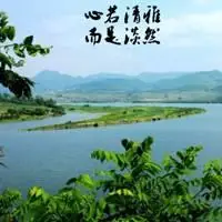 表示清雅淡然的图片_微信头像图片大全