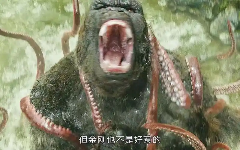 巨兽金刚大战骷髅巨蜥《金刚骷髅岛》第二集