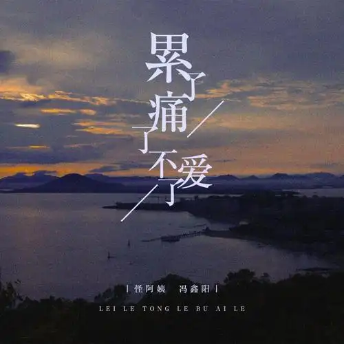 怪阿姨累了痛了不爱了