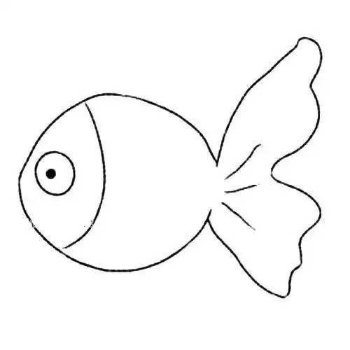 可爱的金鱼简笔画