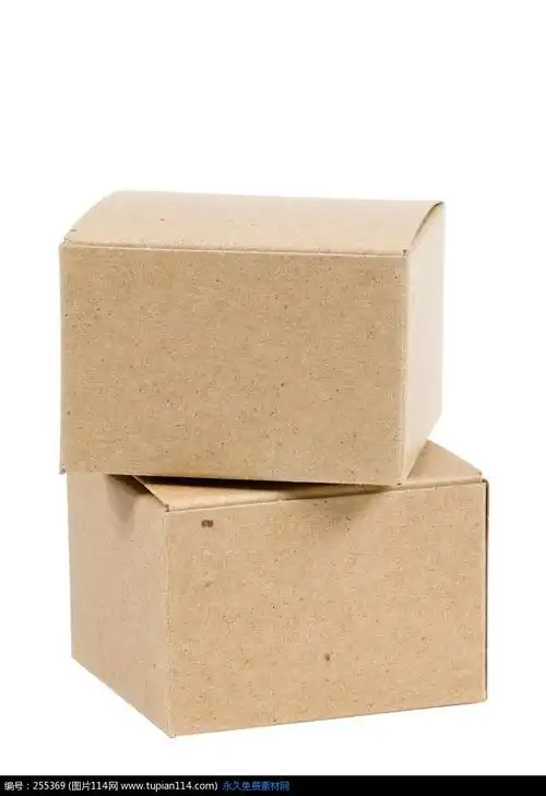 长方形的纸皮货物箱