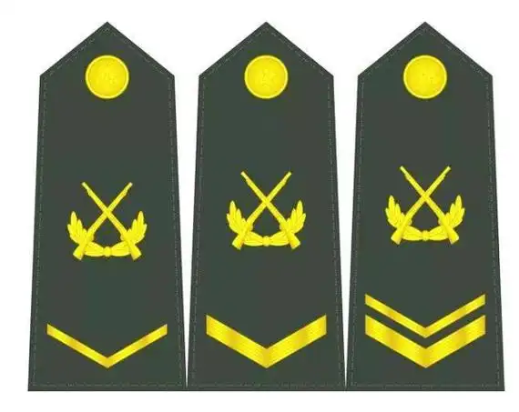 称谓由低至高为:下士,中士,上士,四级军士长,三级军士长,二级军士长