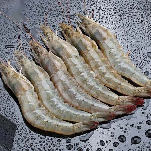 5斤装青岛大虾青虾超大基围虾新鲜海虾对虾海鲜水产鲜活冻虾白虾