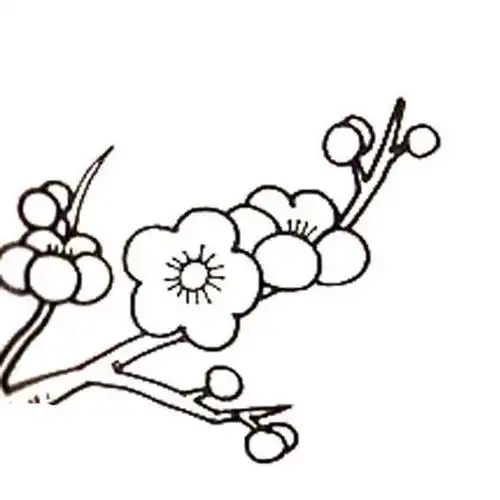 梅花植物简笔画 梅花简笔画