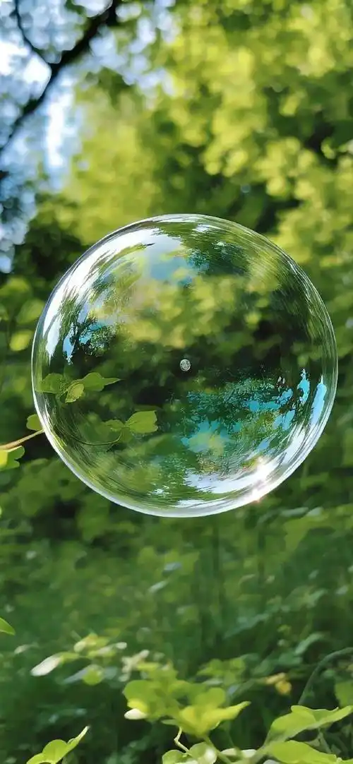 壁纸| 非常耐看的全屏壁纸_名义_夏天_图文