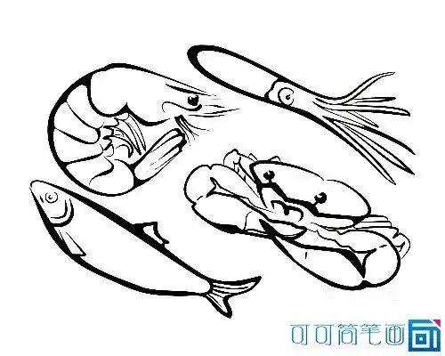 青岛海鲜嘎啦简笔画