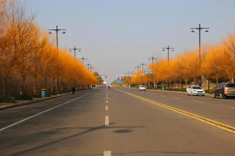 襄城有条黄金路