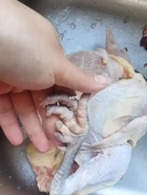 鸡应该有几个脚趾