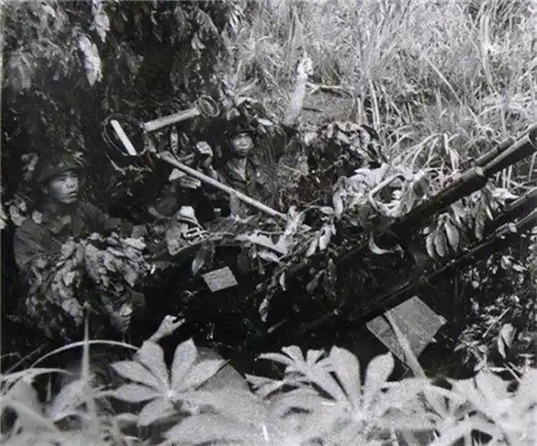 军来说,是手掌心里的宝贝,这支在建国之后才真正进入发展正规的部队