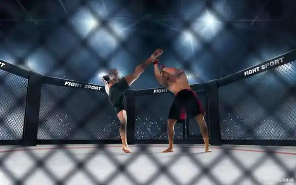 终极制敌武器!mma综合格斗必备十字固招式详解!