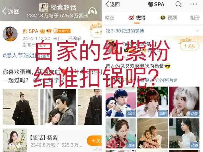 杨紫站姐 刘学义##杨紫刘学义 撒谎