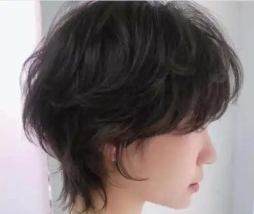 女生鳗鱼头发型图片大全(3)