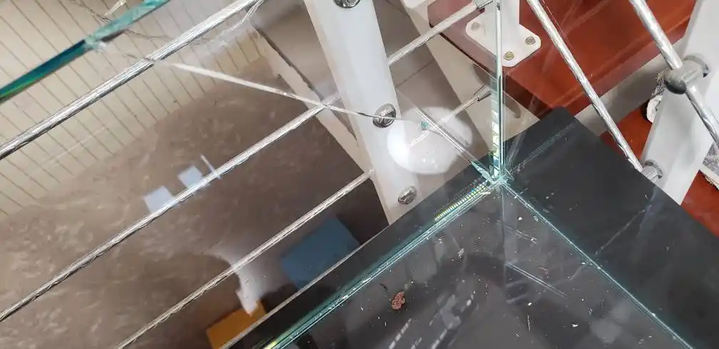 鱼缸碎裂还能挽救吗?