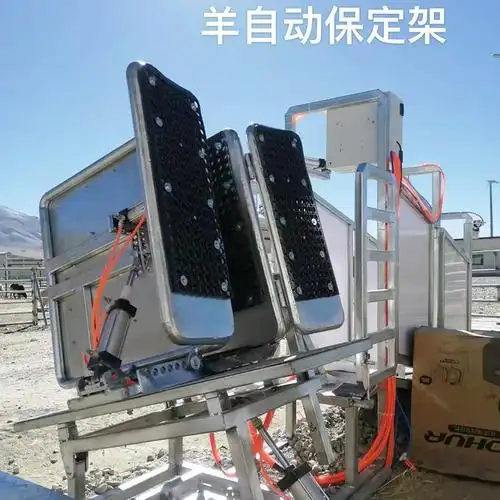 宁夏羊智能称重 羊称重分栏系统 羊自动保定架 厂家直供