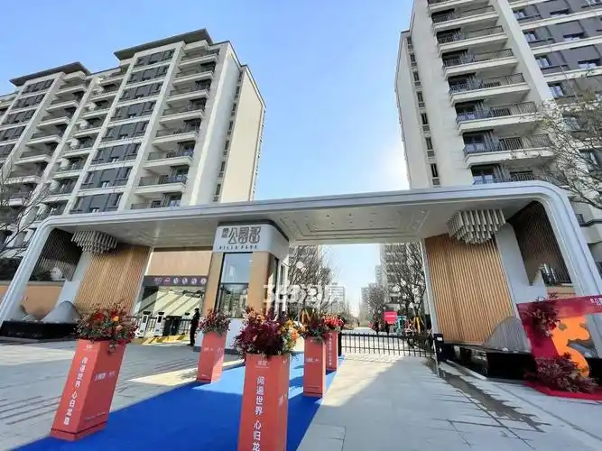 公园郡大门是线条简洁大气的现代风格,没有过于繁复的修饰,仅仅依靠