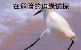 但有些人吧,总想在搞事的边缘试探,玩的就是心跳.