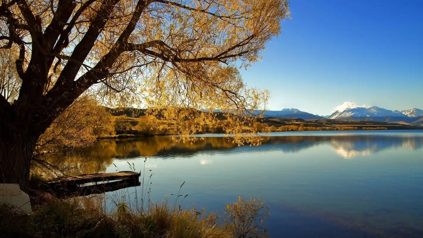 感伤秋季唯美落叶高清电脑桌面主题壁纸图片下载(3)