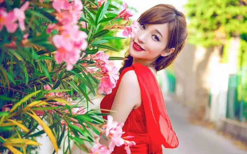 5,影视剧《马斐日常》改编自《林家有斐》,主演目前在接触:肖战,李沁