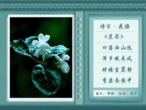 欣赏博友茉莉诗言花语有感