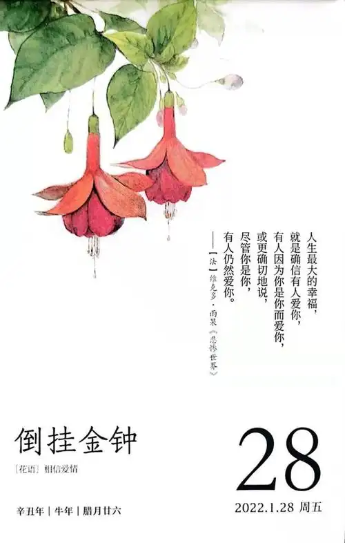 倒挂金钟我们约好一起活过所有的夏天相守到老吧花名册no23