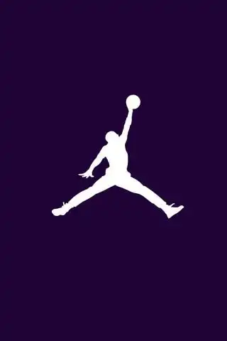 家人们求乔丹标志壁纸
