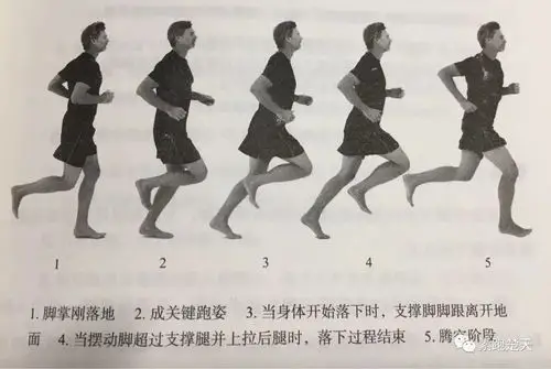 姿势跑法的十堂课第五课跑步的完整动作