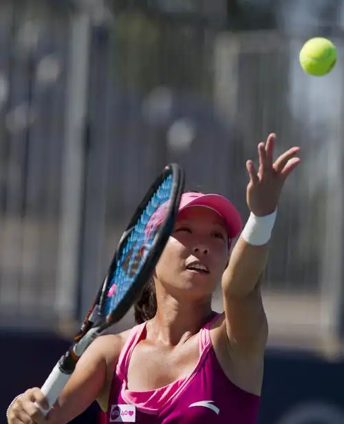 罗杰斯杯郑洁出局_高清图集_新浪网