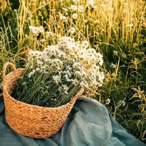 朋友圈背景图唯美封面文字配图