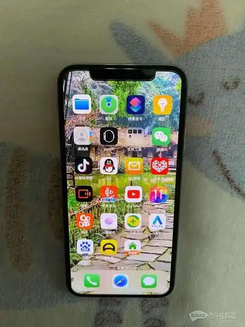 出自用国行版苹果x