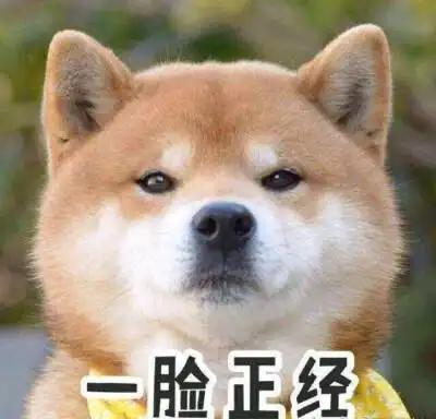 柴犬抱鱼表情包