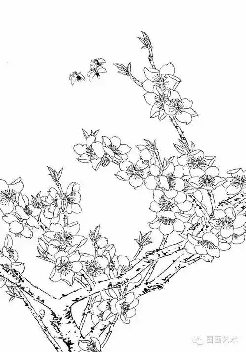 工笔线描桃花,美!