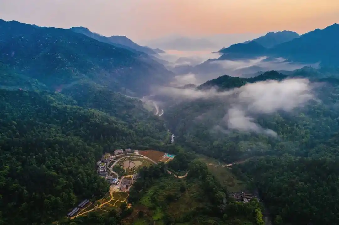 国家委员会,国际动物学会组织专家组一行7人,到车八岭保护区开展中国