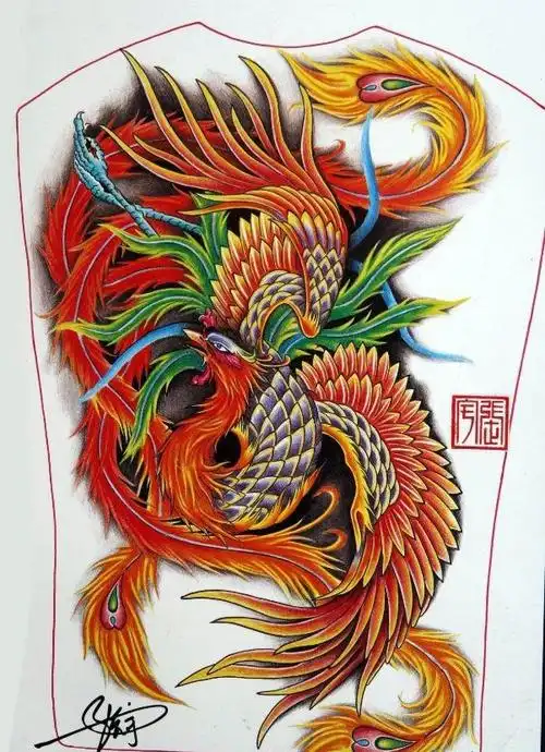 彩色凤凰纹身手稿,凤凰纹身手稿手臂-图片大观-奇异网