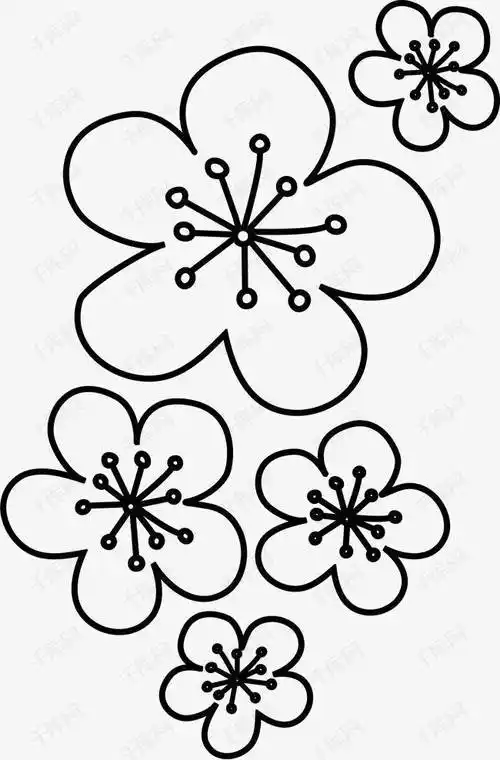 樱花简笔画 樱花简笔画简单漂亮