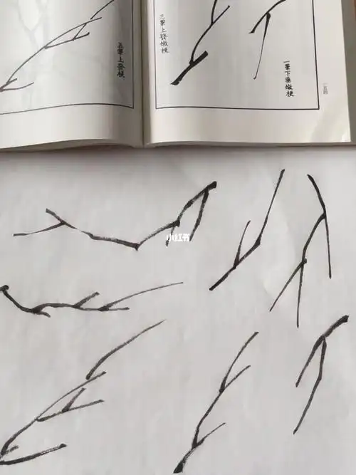 国画入门教程芥子园画谱梅花篇2