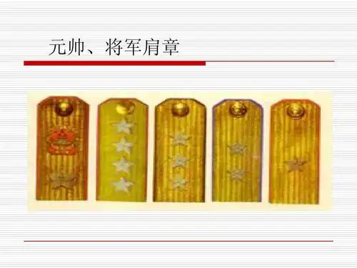 元帅,将军肩章