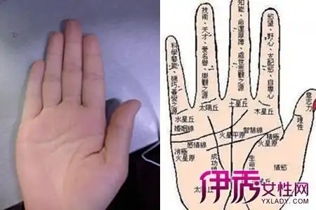 【图】手相右手左手 简单教会你如何看