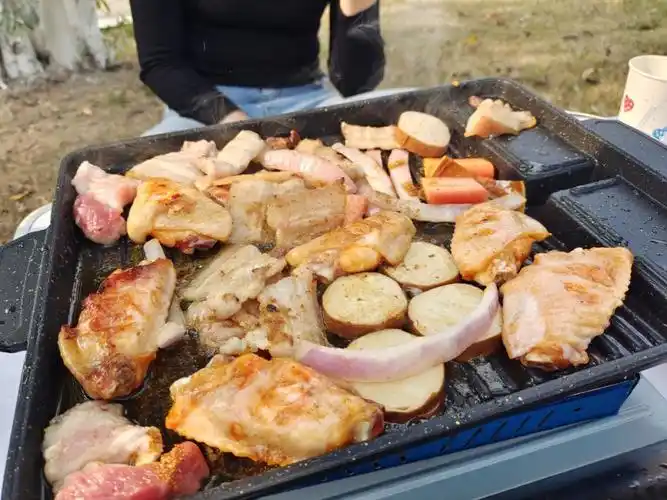 记录第一次户外野餐