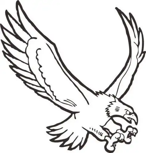 超简单的老鹰简笔画步骤展翅高飞的老鹰的简笔画图片