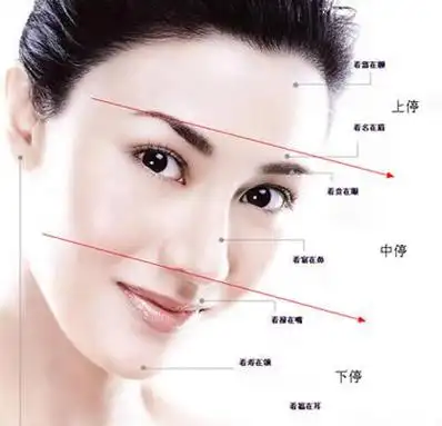 下庭好面相 下庭长什么脸型 - 卜安居