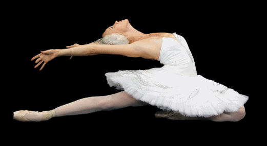 550_302gif 动态图 动图